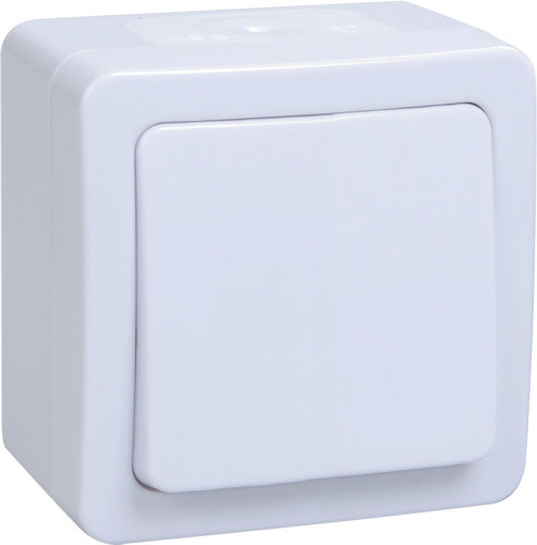 Выключатель о/у ГЕРМЕС PLUS 1кл белый IP54 10А ИЭК                                        