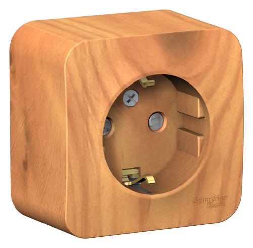Розетка о/у Бланка 1м с/з с з/ш ясень IP20 16А изол.пл. (упак-12 шт) SchE                                         фото 3                    
