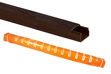 Кабель-канал  15х10 бук 3D (140 м) ТДМ          