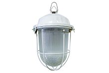 Светильник НСП 100Вт E27 02-100-002.01 У2 (с решеткой, стекло, крюк) ТДМ          