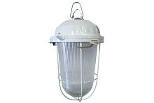 Светильник НСП 200Вт E27 02-200-022.01 У2 (с решеткой, стекло, крюк) ТДМ          